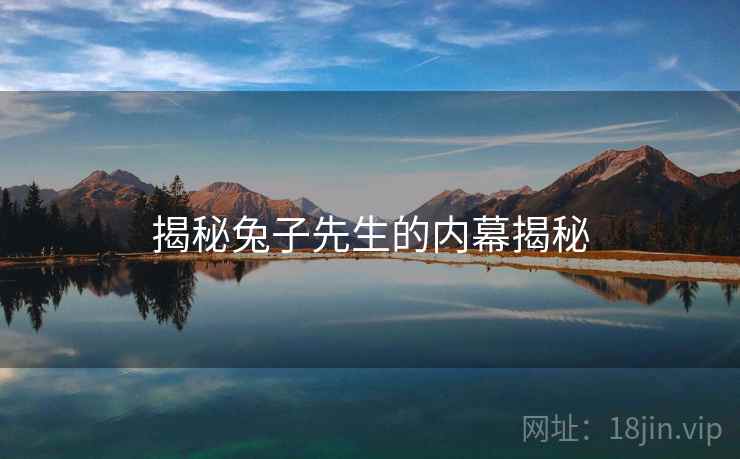 揭秘兔子先生的内幕揭秘